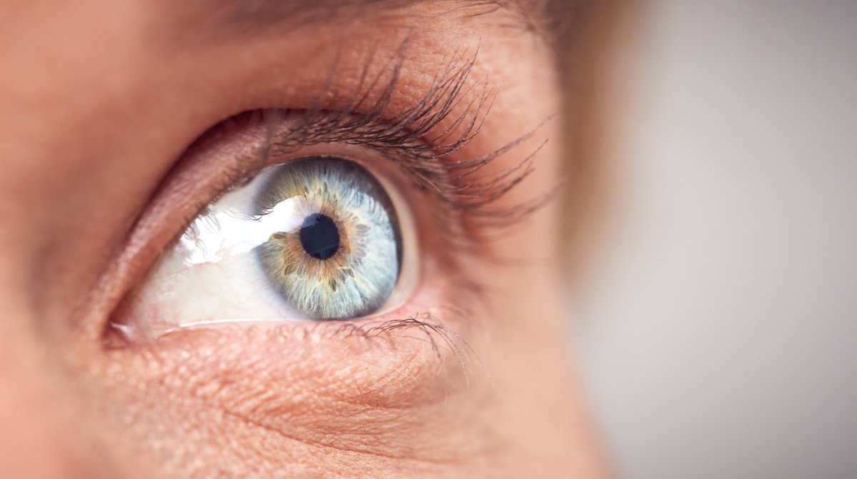 A recent paper published in @NatureComms sheds light on why problems replacing the 'batteries' inside eye cells can negatively impact #Vision in people with #Diabetes. The study suggests possible treatments to manage early onset of diabetic #Retinopathy. ➡️bit.ly/48TIIuK