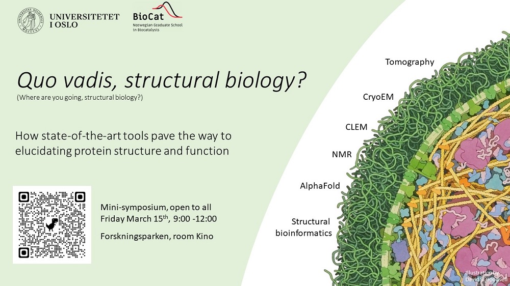 NCMBMnews's tweet photo. Interested in structural biology? Join  "Quo vadis, structural biology?", a mini-symposium focusing on the  modern use of NMR, CryoEM/ET and AlphaFold in the elucidation of protein  structure and function. https://t.co/h8nlcESTJM
