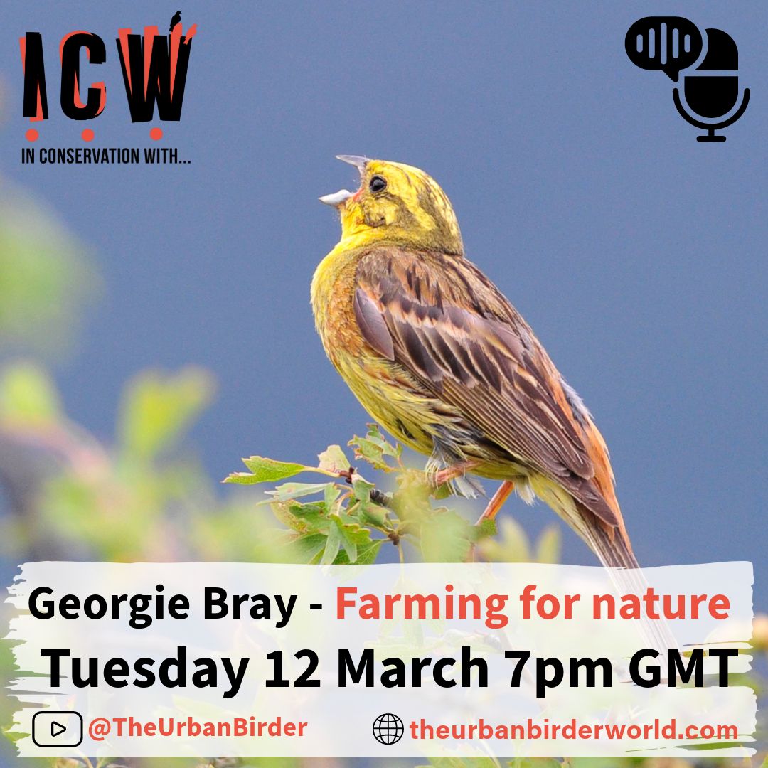 In Conservation With... tweet media