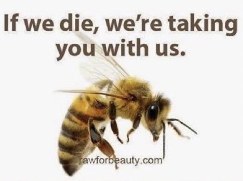 @BeeAsMarine 🆘 No Bees = No Us 🆘

Please Sign The Petition 
To Ban Pesticides 
👉 change.org/SaveTheBee 🐝🐝
Please Repost

#SaveTheBees
#IfTheyDieWeDie 

  🐝🍀🌺🦋🪴🌼🐝🌿🌸🦋🌱🐝