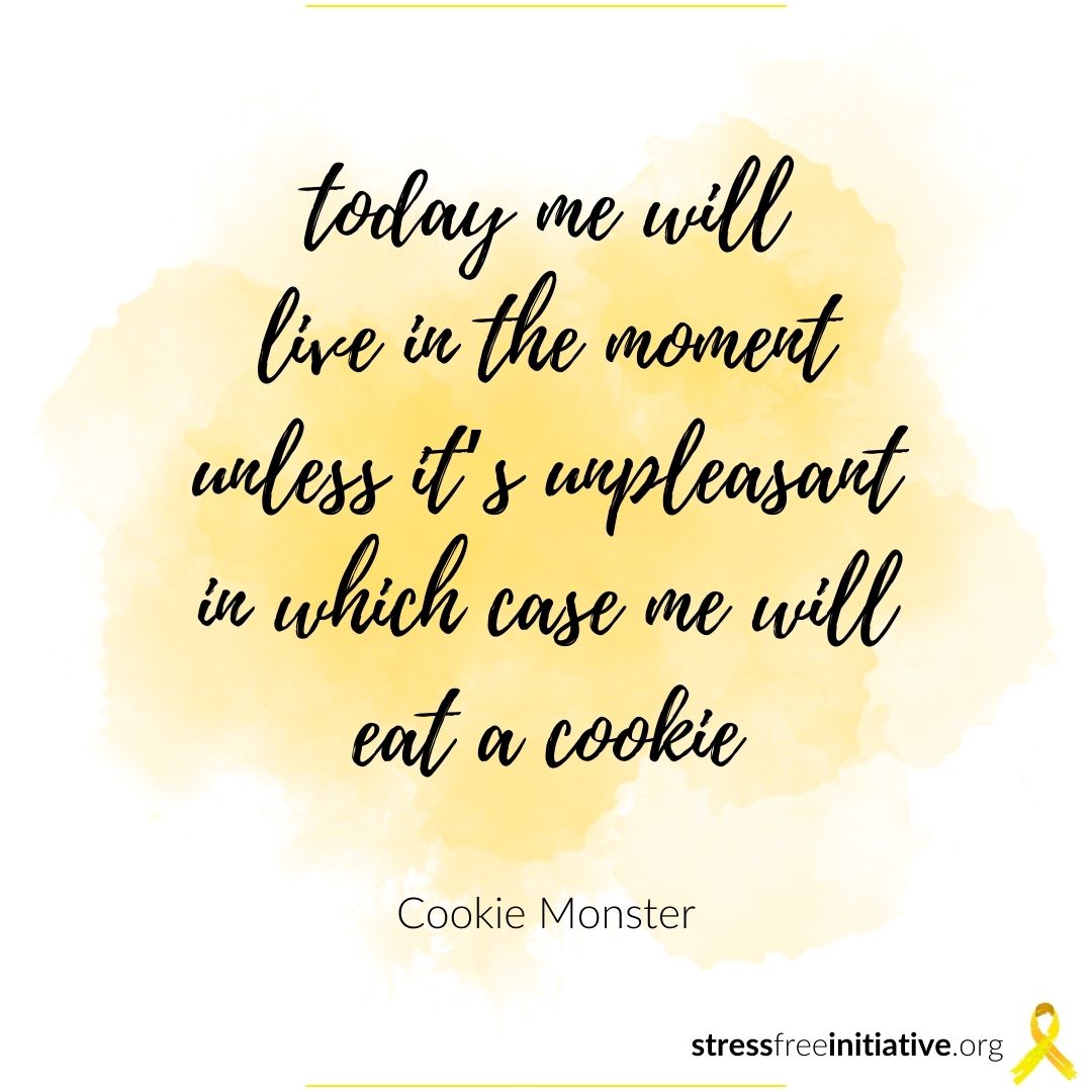 Stress Free Initiative tweet media