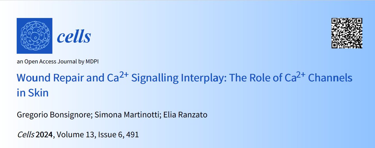 eliaranzato's tweet photo. @MDPIOpenAccess @Cells_MDPI @simona_marti https://t.co/SnhC6nfSDJ