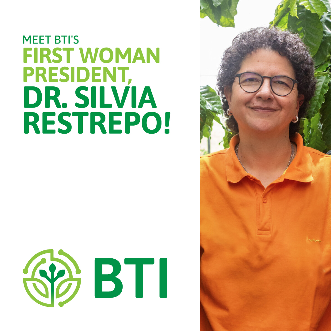 Meet Dr. Silvia Restrepo (President, BTI), a vanguard plant pathologist and microbiologist in her field! She's expanding our understanding of diseases that devastate staple food crops like cassava and potato. 
 
Learn more: loom.ly/pYBg0dE

#btiscience #womeninsteam