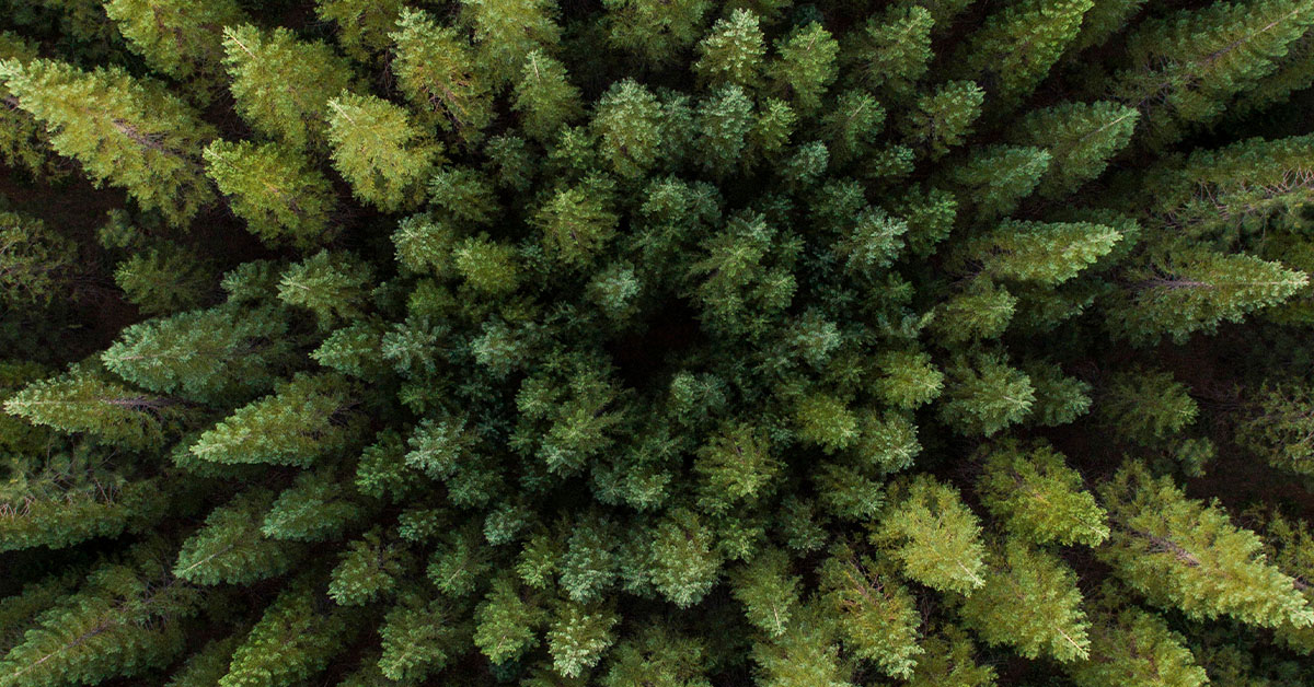 Read why Barron’s turned to Calvert professionals to select their 100 Most Sustainable Companies list. mgstn.ly/3V2Wsjy