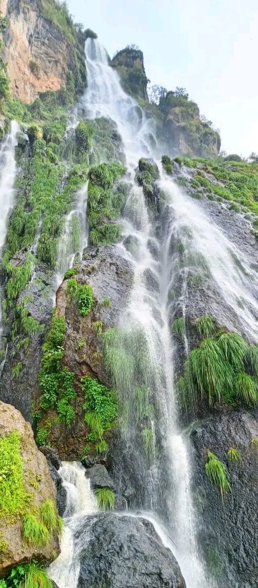 NamakaliJacob's tweet photo. Mbale city has beautiful sceneries surrounding it👌
Visit Wanale hill
#ExploreMbale https://t.co/FMceSglAWm