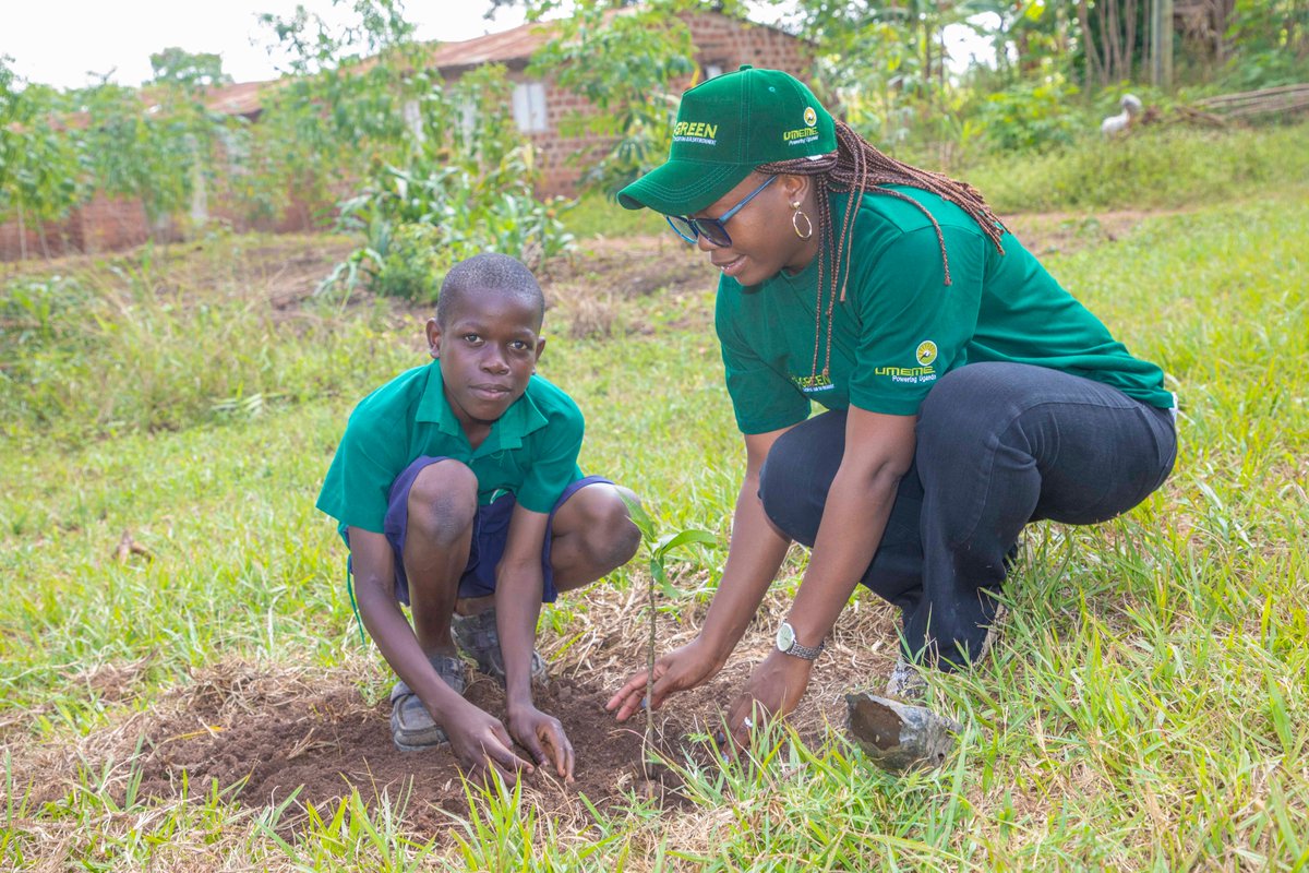 UmemeLtd's tweet photo. Switching to a greener approach is crucial in the fight against climate change, and the U-green initiative is leading the way, offering a renewed beginning for our planet. Trees have always been essential for life, providing food, medicine, and oxygen. However, in today's world,  their value has increased as more benefits are being discovered to satisfy the needs created by our modern lifestyles, leading to deforestation and the destruction of vegetation.

#UmemeInTheCommunity #UmemeAtService #PoweringUganda
