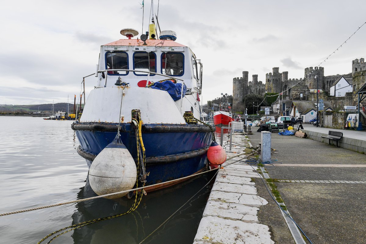 Glyn Roberts tweet media