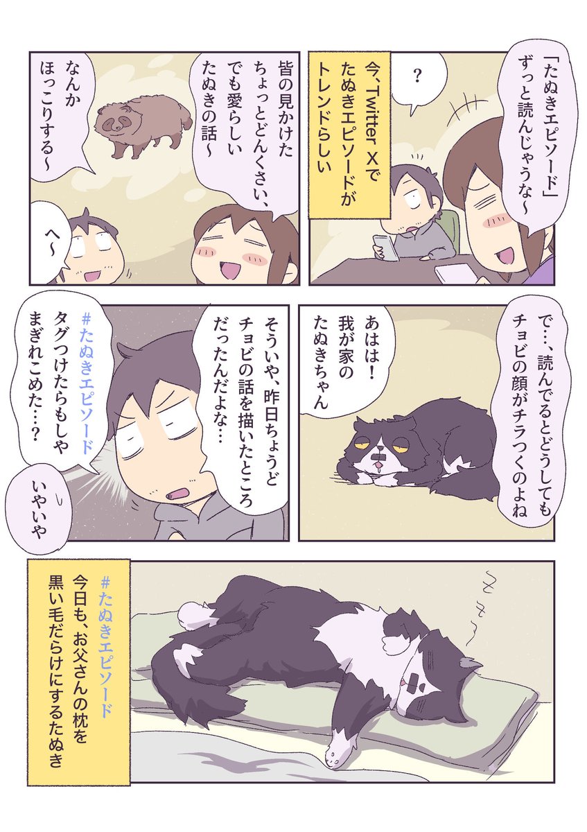 我が家のたぬきエピソード 