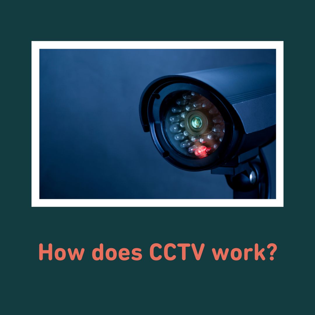 WLS Ltd. tweet media