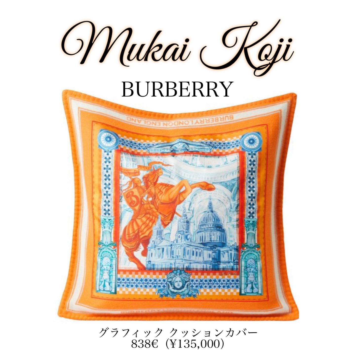 ペンギン 向井康二 クッションカバー 約45cm T-77 向井康二クッション ペンギン様専用 向井康二 クッションカバー 約45cm