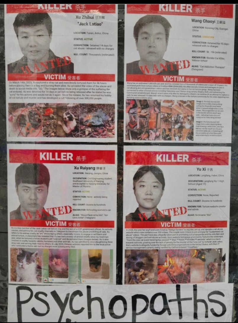AdhikaPrapti's tweet photo. P3/3 🚨 🔁 We can recognize among others in this video these #psychopaths :👇🏻👇🏻
#Hatred and #madness can be read in their eyes...
#catsAbusers #AnimalCruelty https://t.co/JJgwfoD3yf