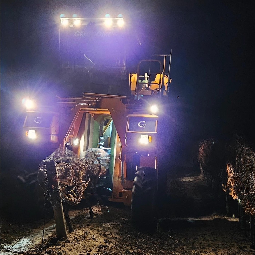 rickwine's tweet image. The viticulturist @Pillitteriwines, Jamie Slingerland, has harvested icewine in Niagara for 35 years. He has some thoughts on the state of icewine, over taxation of wineries and the surplus of grapes in this report on Wines in Niagara 👉 bit.ly/IceBabyIce