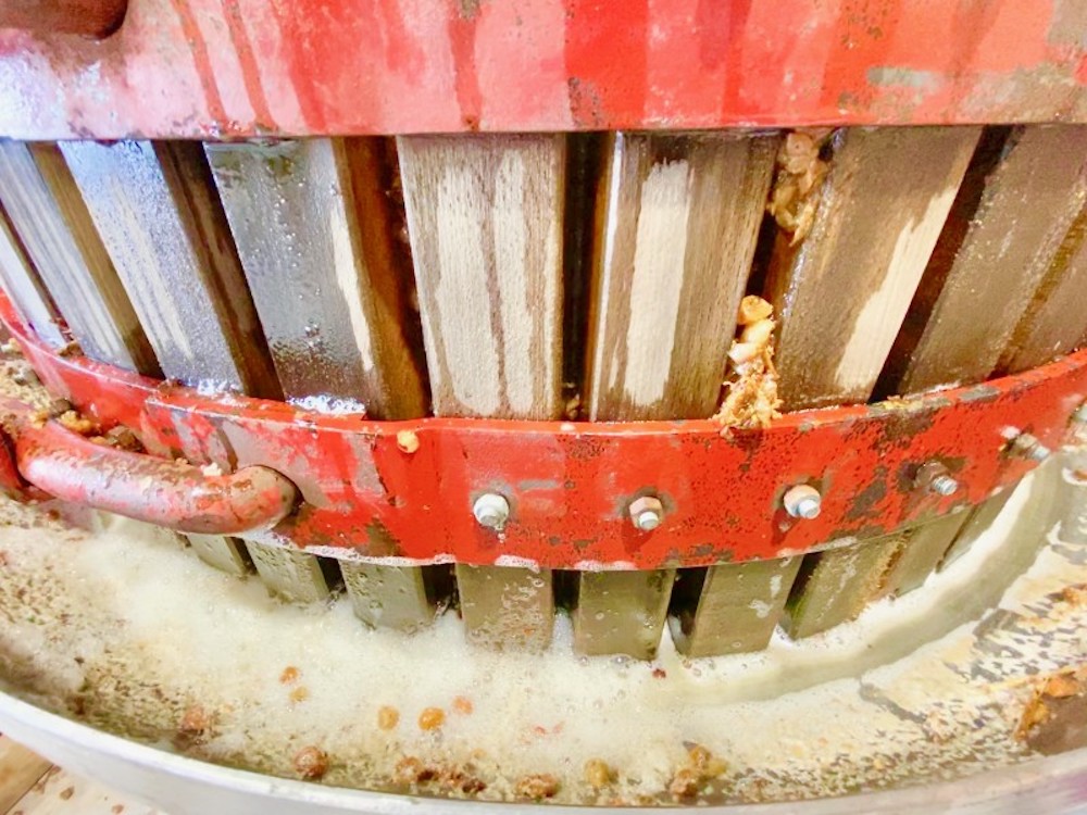 rickwine's tweet image. The viticulturist @Pillitteriwines, Jamie Slingerland, has harvested icewine in Niagara for 35 years. He has some thoughts on the state of icewine, over taxation of wineries and the surplus of grapes in this report on Wines in Niagara 👉 bit.ly/IceBabyIce