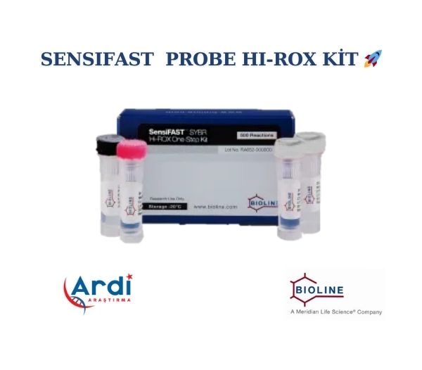 SensiFAST  Probe Hi-ROX Kit 🚀🧬

⚡Teknik kopyalar arasında tutarlılık
⚡DNA ve RNA hedeflerinin güvenilir, doğru tespiti
⚡Düşük orandaki hedeflerde bile etki
⚡30 dakika içerisinde sonuç
⚡Multipleks testlerde mükemmeliyet
⚡Spesifik - antikor aracılı hot-start DNA polimeraz