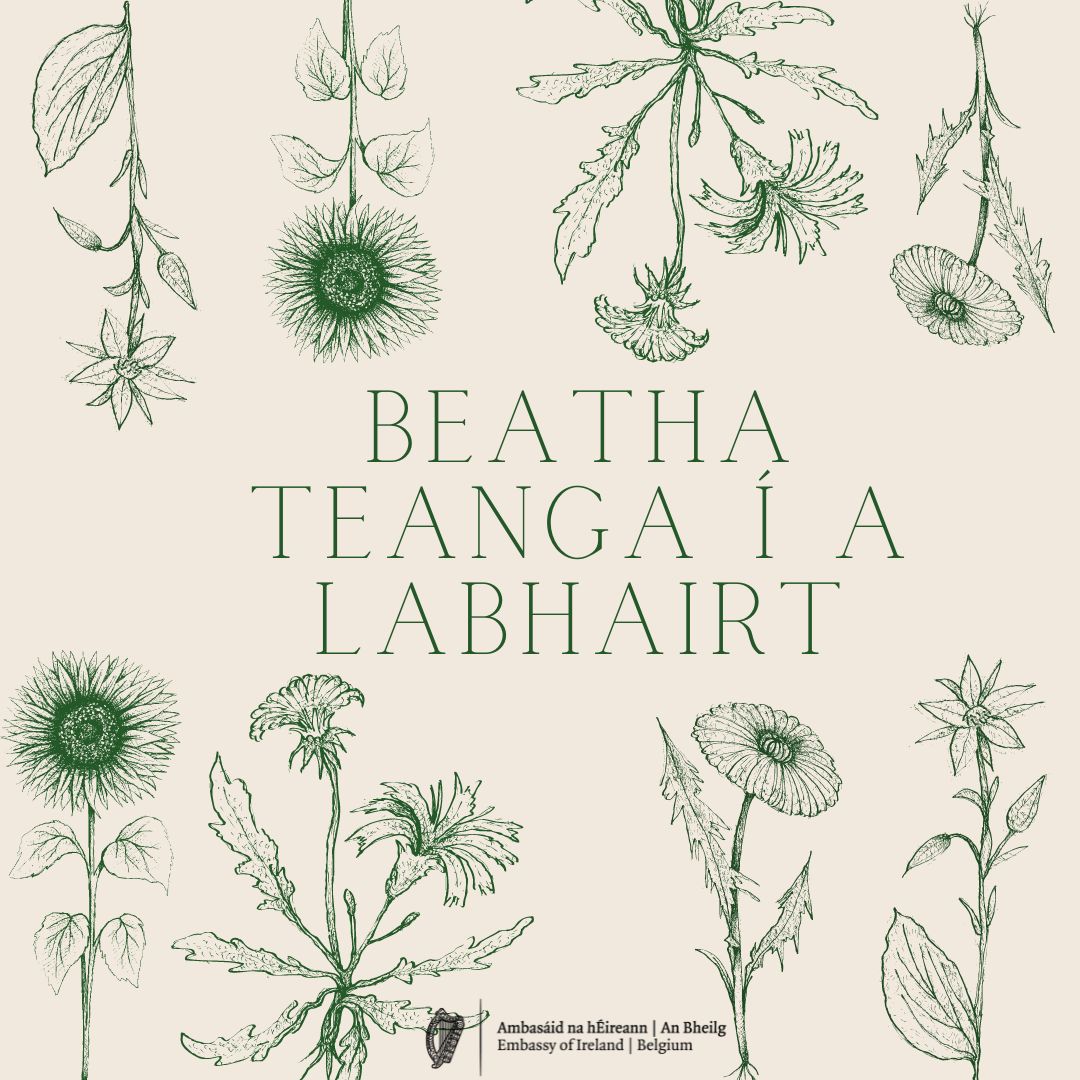Beatha Teanga í a Labhairt - The life of a language is to speak it 🇮🇪🌷

#seachtainnagaeilge