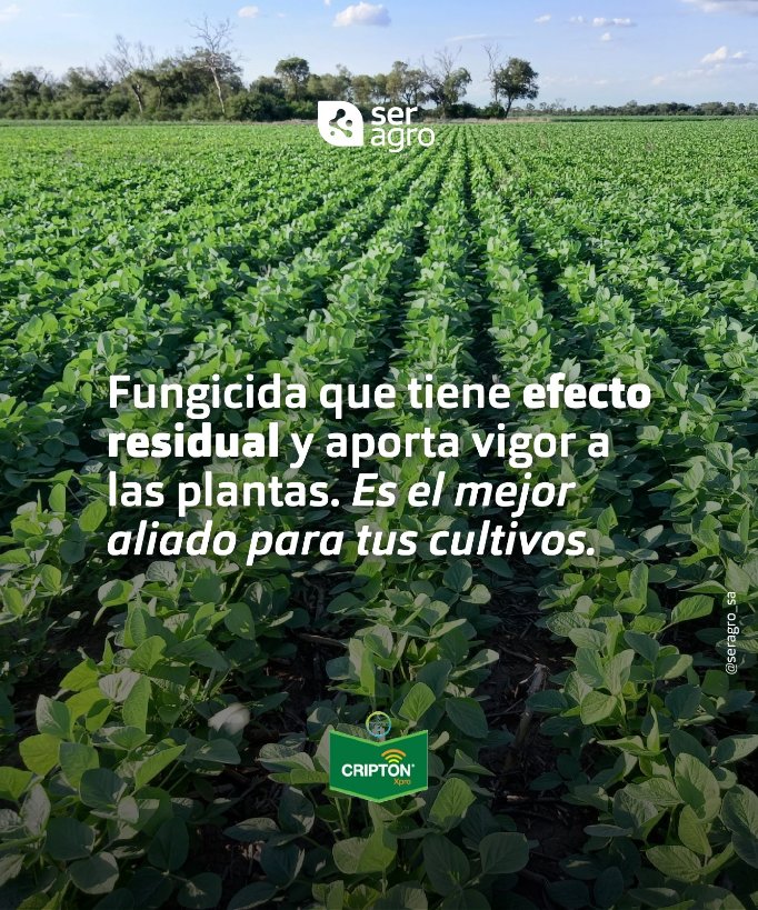 Cripton, la evolución en protección 🫛

Cripton® es un fungicida de amplio espectro de control de enfermedades que afectan al Maní, Trigo, Cebada y Soja. Tiene efecto residual y aporta vigor a las plantas.