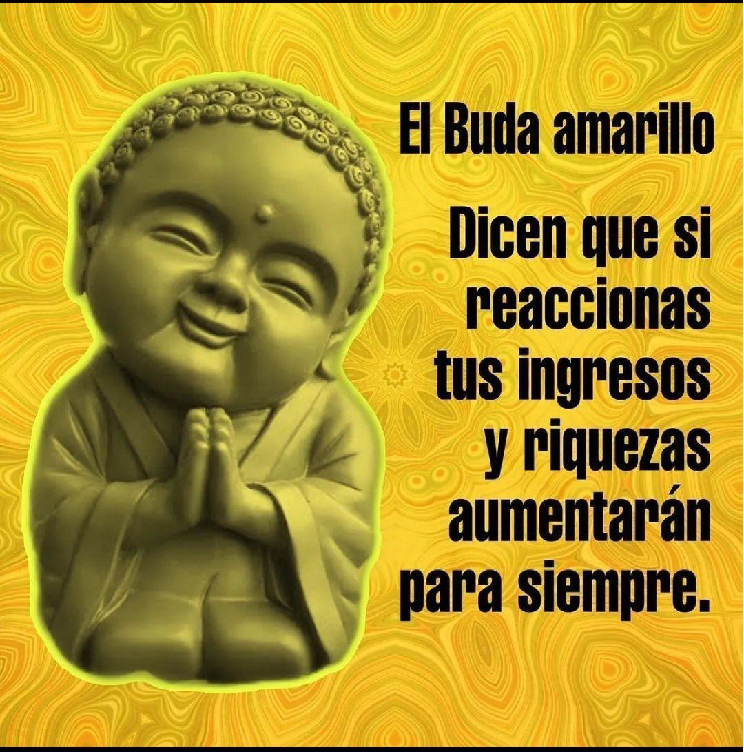 ✨💫🌟Vibro en Abundancia🌟💫
✨

💫💰Decreta: CONFÍO💰🙏

🌟Gracias por darle a ♥️y 🔄 a este tweet, sígueme en <a href="/PiensaPositivoR/">PIENSA POSITIVO</a>🌟
