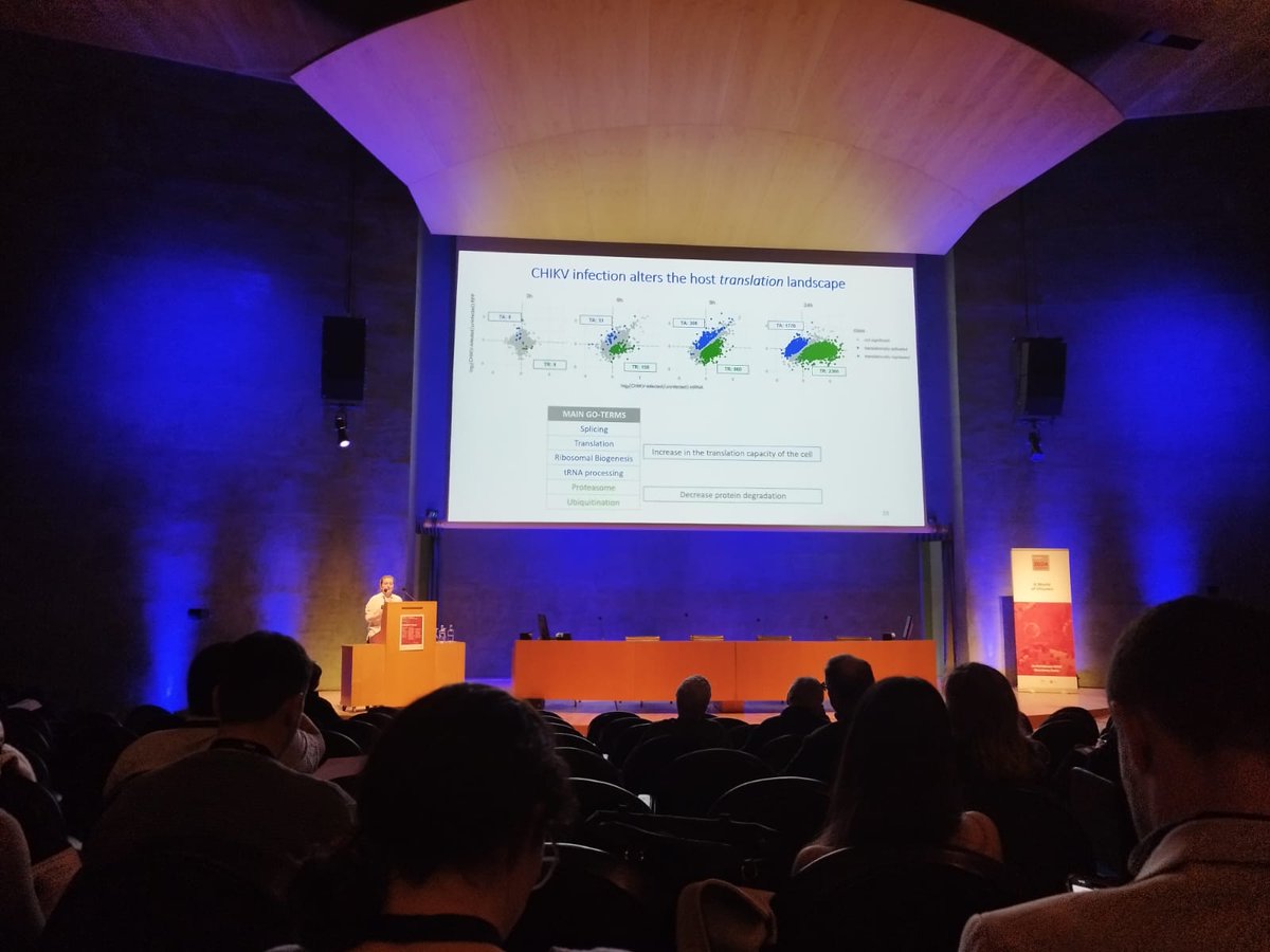 Happy to share our research at the "Viruses 2024 – A World of Viruses" 🔬🧬👏

#Viruses2024
