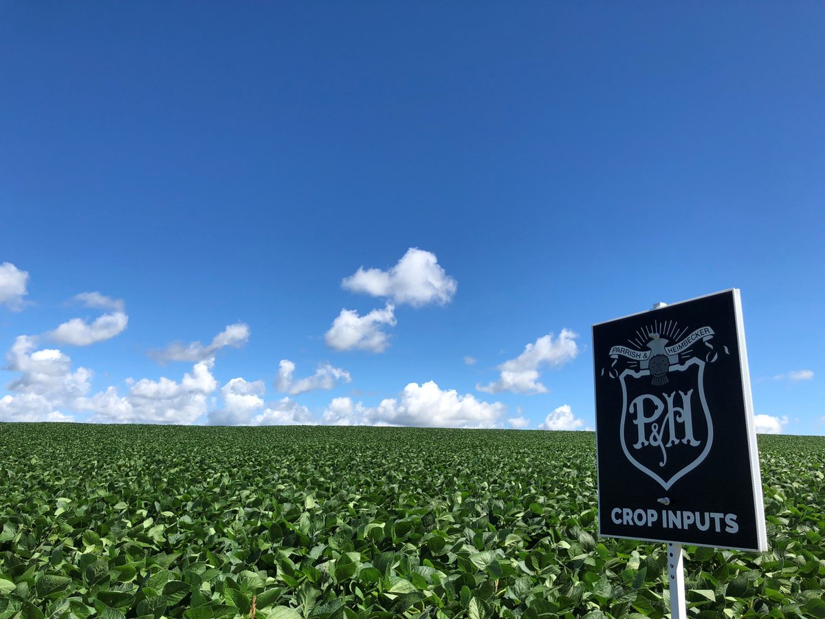 Get your crop inputs direct to your farm so you're ready to go when conditions are right. Purchase spring fertilizer and book blending now to avoid the rush. Stop by your local P&amp;H to get started: pandhcropinputs.com/find-a-locatio… #CdnAg

📸: Jessica A
