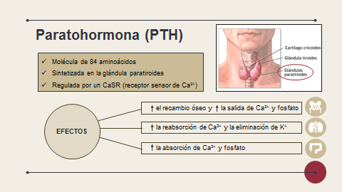 Servicio de Farmacia HGUCS tweet media