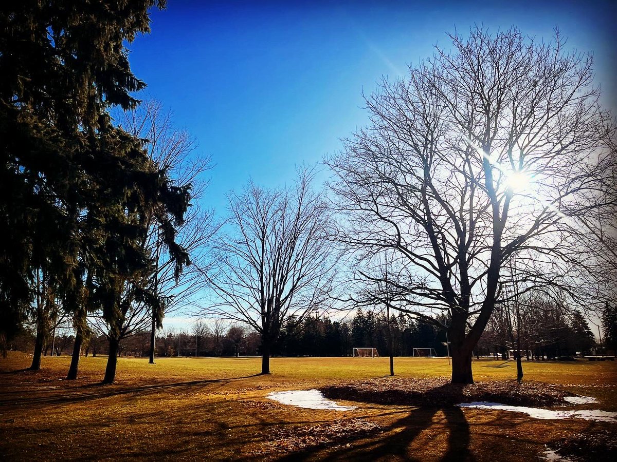 tebovision's tweet photo. #RunningTrails #TrailRunning #NatureRun #RunInspiration #HealthyLifestyle #FitnessMotivation #RunningGoals #52AndFit #FitnessJourney #ActiveLifestyle #FitOver50 #OutdoorFitness #RunningCommunity #FitnessAdventure #NatureLover #RunEverywhere https://t.co/ihgZJmKdsw