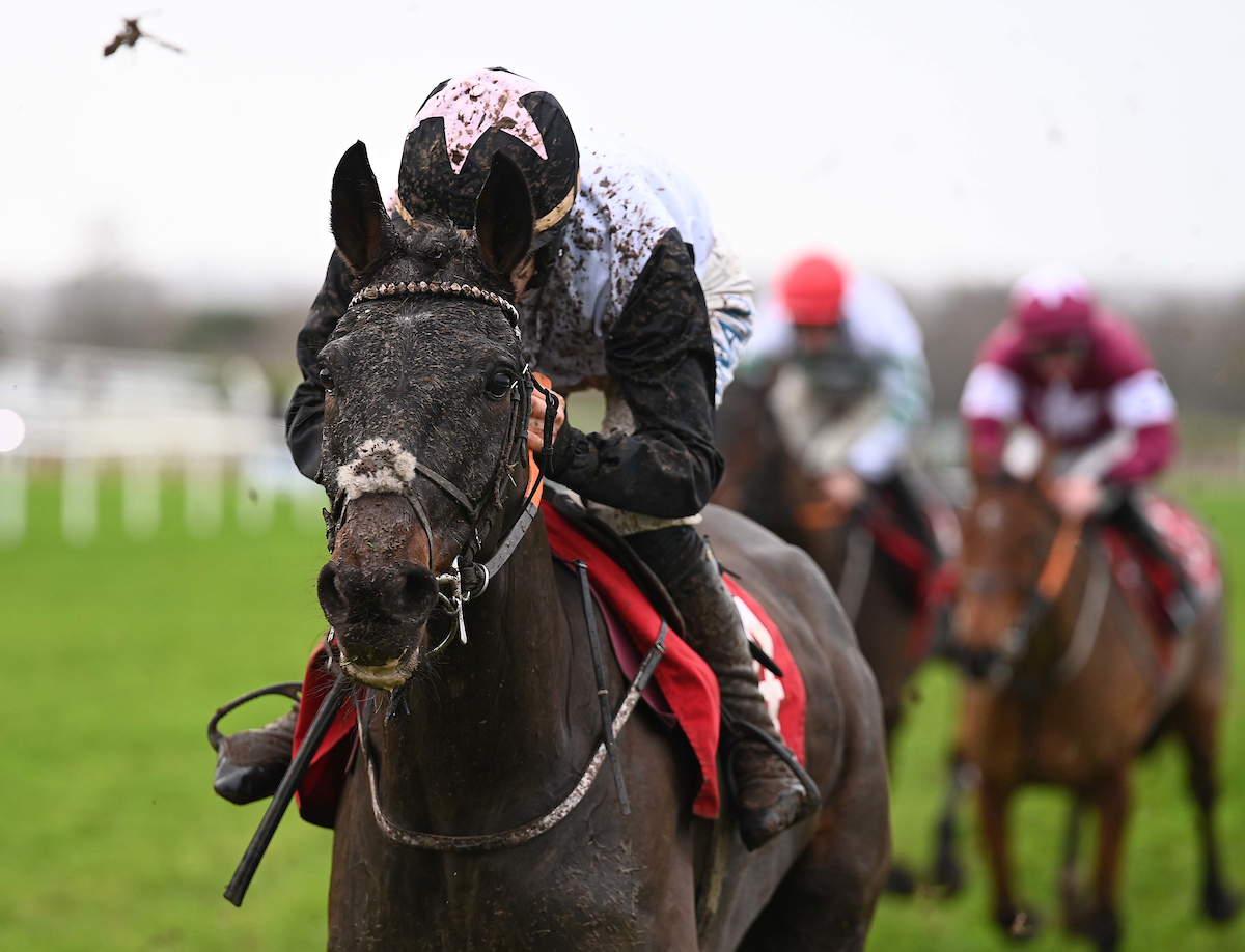 irishracing.com tweet media