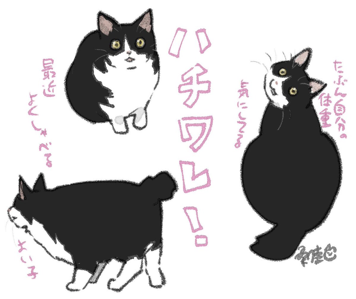 たぬきフォルムだよ 
