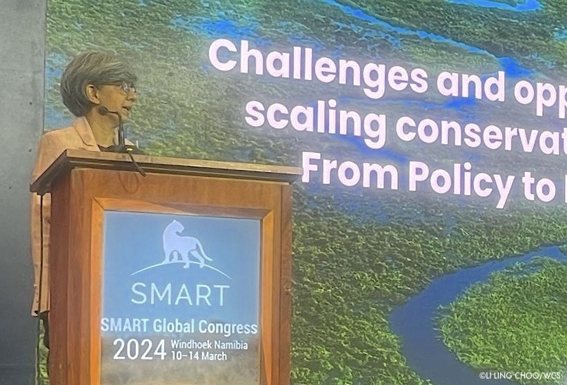 TheWCS's tweet photo. Conserving 30% of nature by 2030 is a critical goal for our future. Madhu Rao, WCS Senior Advisor and Chair of @IUCN World Commission on Protected Areas, gave a keynote today at #SGC24 on scaling conservation to meet #30x30 and the key role of tech like @SMARTCnsvTools. https://t.co/yNXefW9wAQ