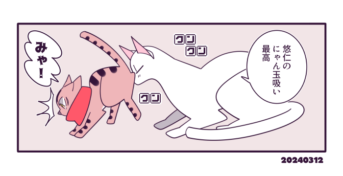 猫五悠 