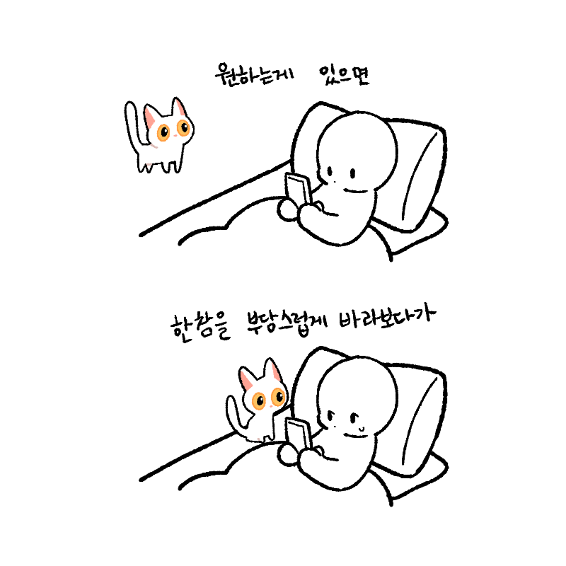 Popoto_nya's tweet photo. 우리집 막내 고양이 완전 귀여움 https://t.co/njJctfL1mn