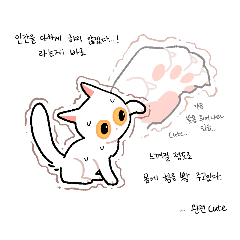 Popoto_nya's tweet photo. 우리집 막내 고양이 완전 귀여움 https://t.co/njJctfL1mn