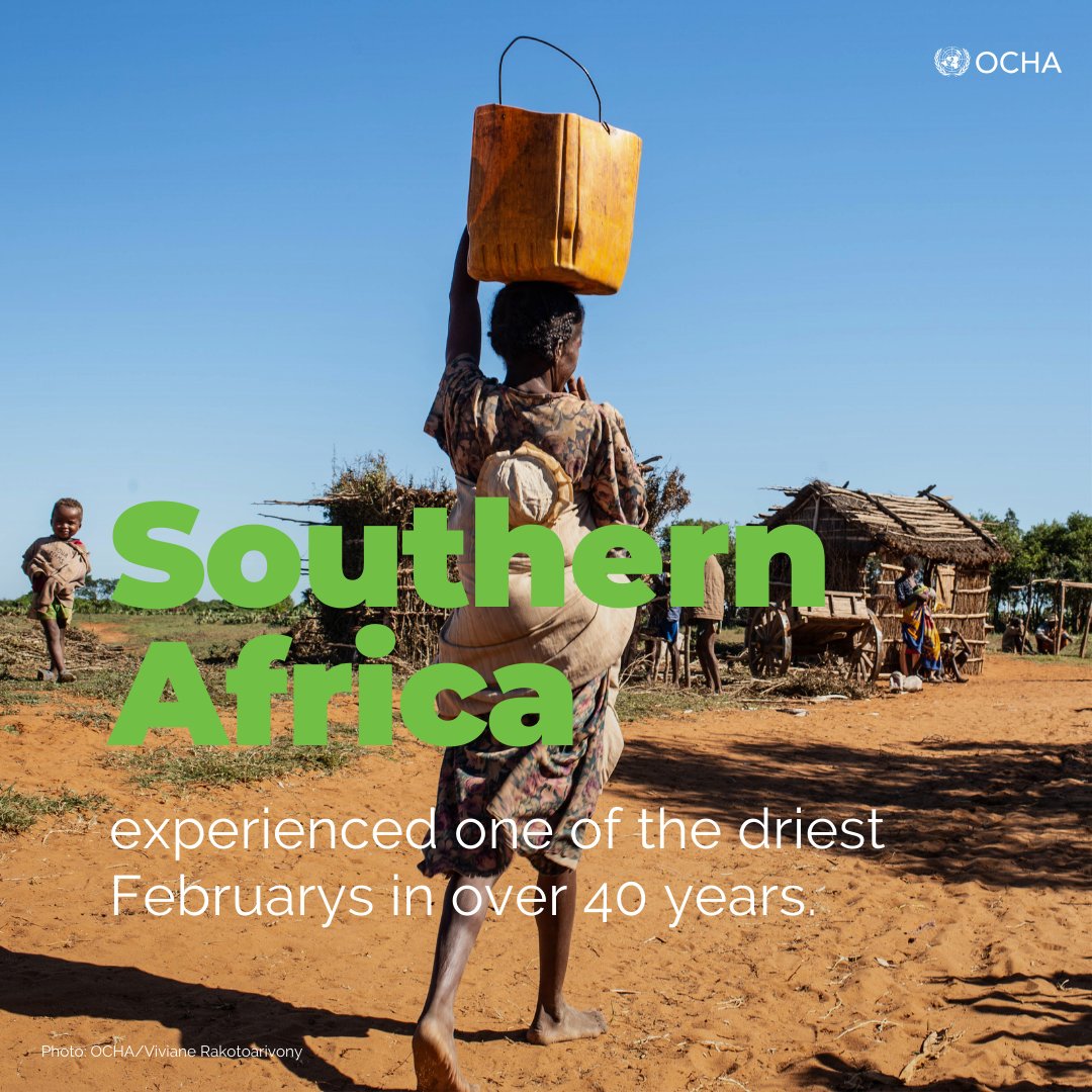 UNOCHA_ROSEA's tweet photo. Zambia, Zimbabwe, Malawi, Mozambique, Angola, Botswana, Lesotho, eSwatini &amp; Madagascar will be severely affected by poor rains as #ElNino persists.

Humanitarians call for a scale-up of life-saving and recovery interventions ⬇️ 
https://t.co/r7fs0Z50In https://t.co/fGicvs0Kd6