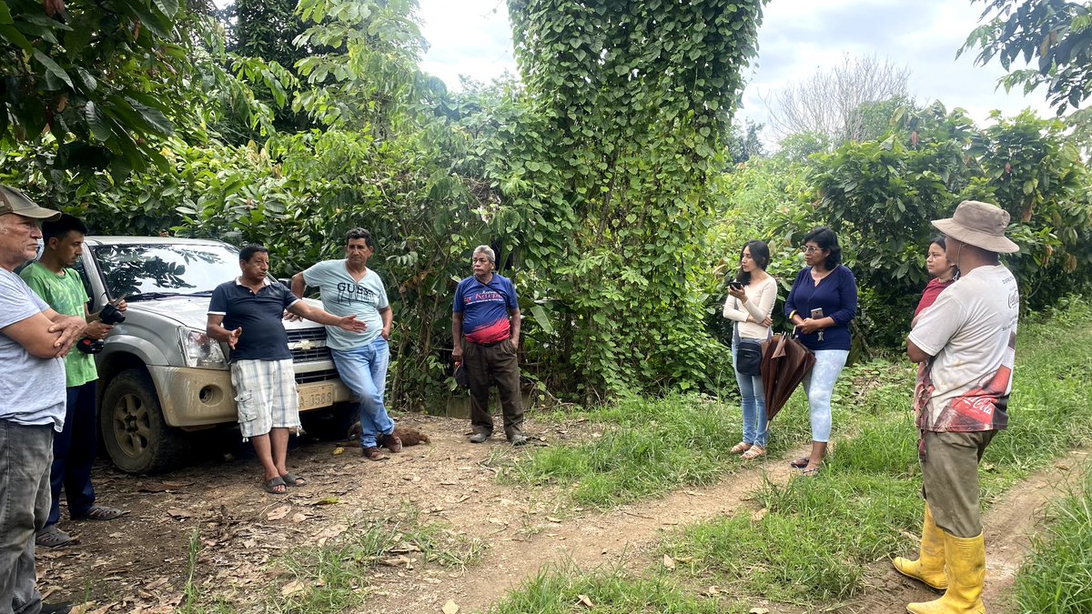 Agricultura_CZ7's tweet photo. #ElOro | A través de técnicos #PIATER del componente agrícola, capacitamos en temas como:
📝Control fitosanitario
📝 Nutrición sólida 
📝 Nutrición líquida,
en el cultivo de cacao, a productores del sitio 27 de enero del cantón #SantaRosa 
#ElNuevoEcuador 👩‍🌾🧑🏻‍🌾🤝 https://t.co/l8ScX9msP6