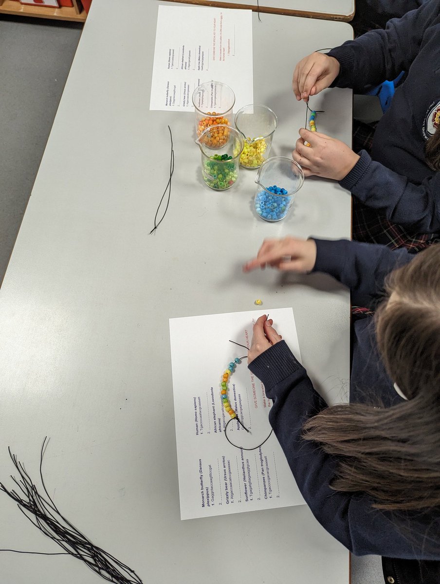 TMBS_Science's tweet photo. #BritishScienceWeek Day 2! DNA Bracelet making with Miss Butler! 🧬 #TMBS #TMBSScience https://t.co/ByXGgxSSNp