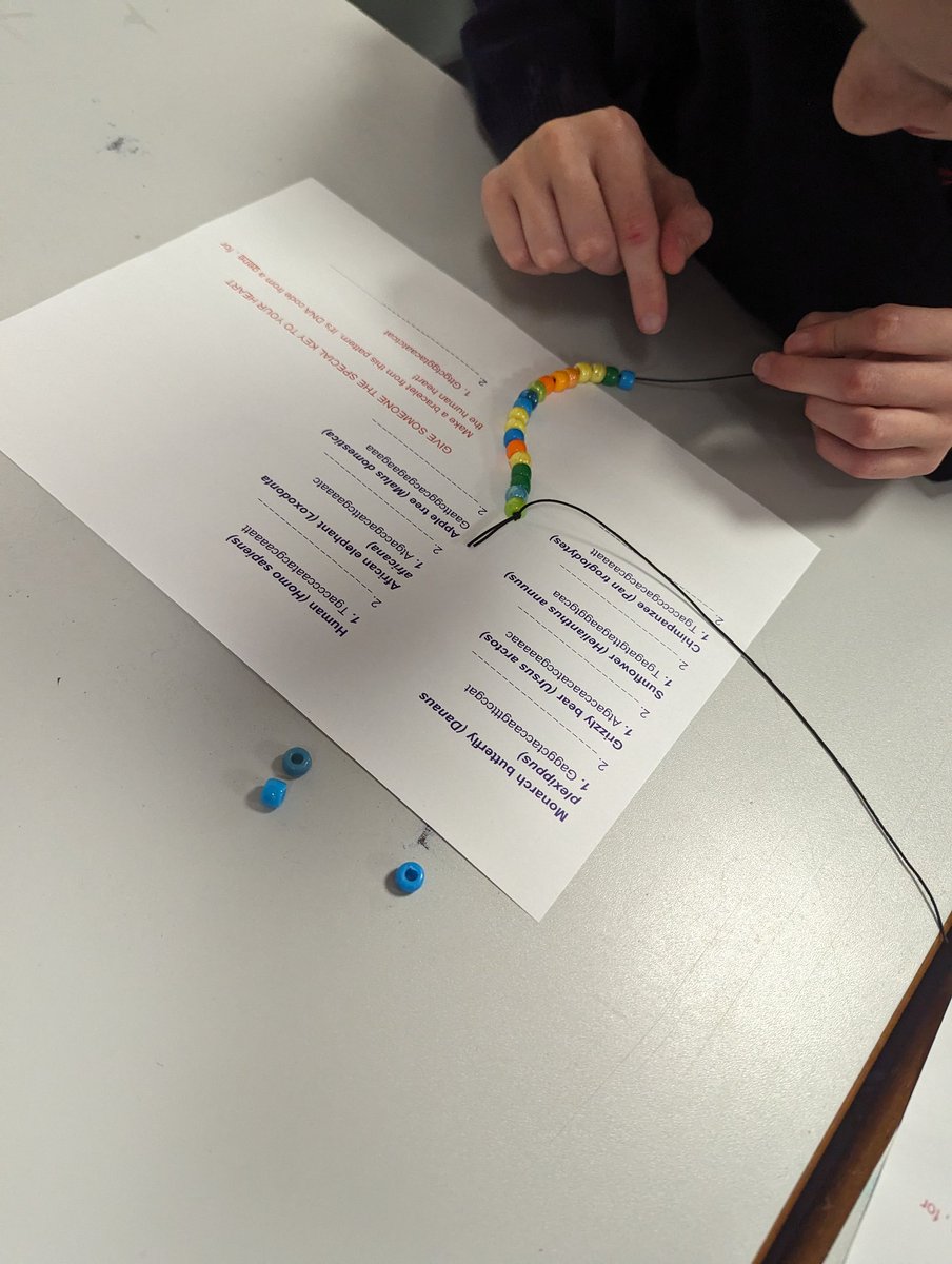 TMBS_Science's tweet photo. #BritishScienceWeek Day 2! DNA Bracelet making with Miss Butler! 🧬 #TMBS #TMBSScience https://t.co/ByXGgxSSNp
