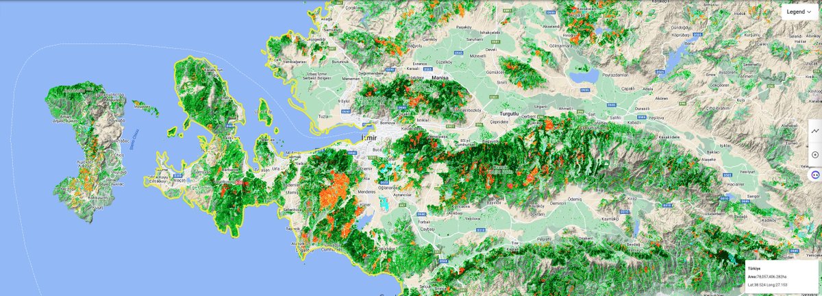 murаt kgirgin tweet media