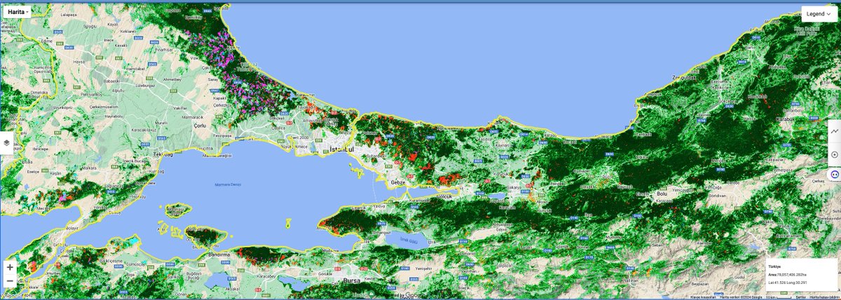 murаt kgirgin tweet media