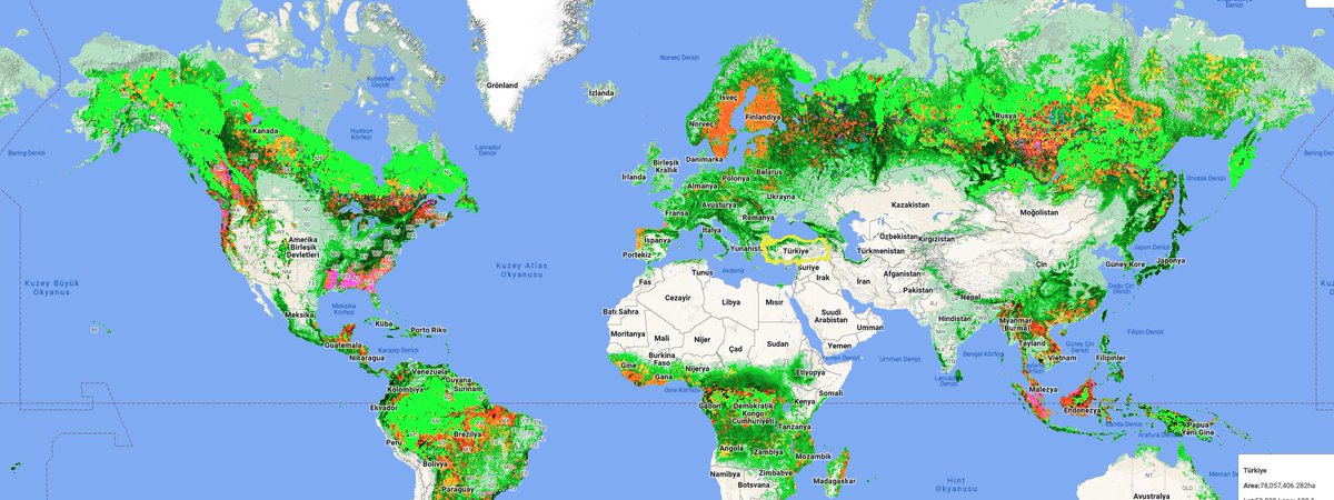 murаt kgirgin tweet media