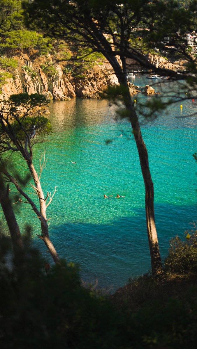 🙌 Qui té ganes de capbussar-se i nedar en aquestes 💙  aigües tan cristal·lines i característiques del paradís d'Aiguablava?

#begur #beguresautentic #visitbegur #visitemporda #incostabrava #viueldoble #catalunyaexperience  #vilesmarineres #empordaturisme #Aiguablava