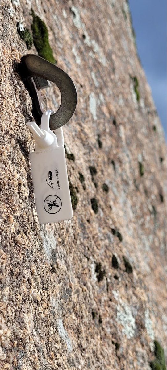 Parque Nacional de la Sierra de Guadarrama tweet media