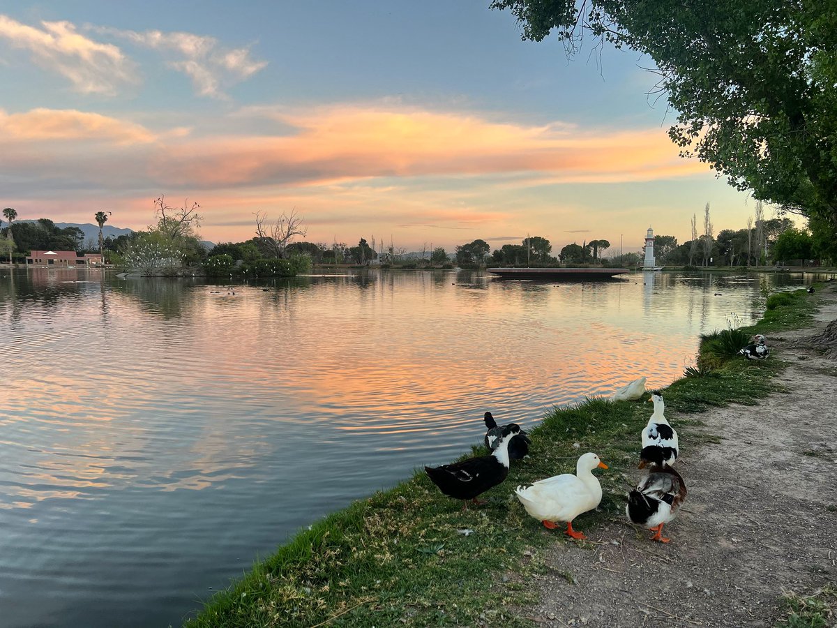 desertique's tweet photo. Buen día ☀️ les comparto mi colaboración en el @Excelsior, con el tema: Turismo y paz.

“Sigamos reconstruyéndonos con esperanza y con diplomacia, no con miedo ni con conflictos”

https://t.co/wzeU8EvpIa

Gracias por leer y compartir 🫶 https://t.co/NcciytwgRB