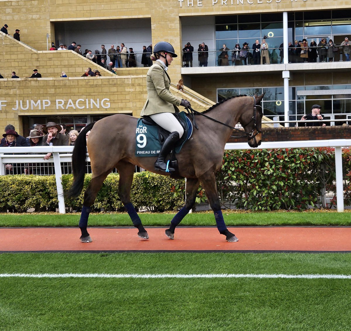 RoRlatest's tweet photo. How great to see these legends in the RoR parade @CheltenhamRaces?! They have all found fulfilling second careers since retiring from racing!
🐎Native River
🐎Saphir Du Rheu
🐎Pineau De Re
🐎Balthazar King
🐎Bristol De Mai https://t.co/akcsGWCW7y