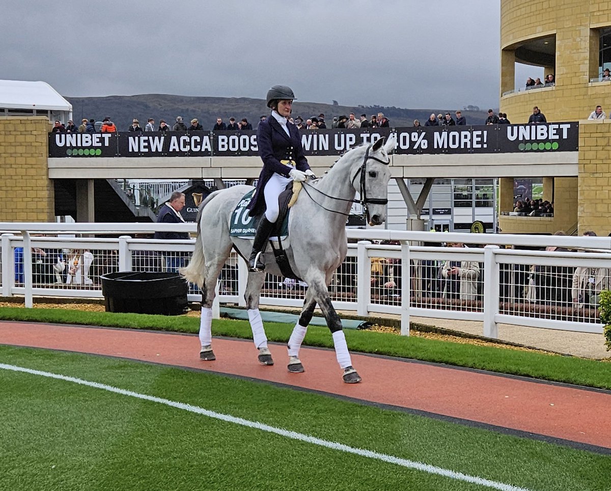 How great to see these legends in the RoR parade <a href="/CheltenhamRaces/">CheltenhamRacecourse</a>?! They have all found fulfilling second careers since retiring from racing!
🐎Native River
🐎Saphir Du Rheu
🐎Pineau De Re
🐎Balthazar King
🐎Bristol De Mai