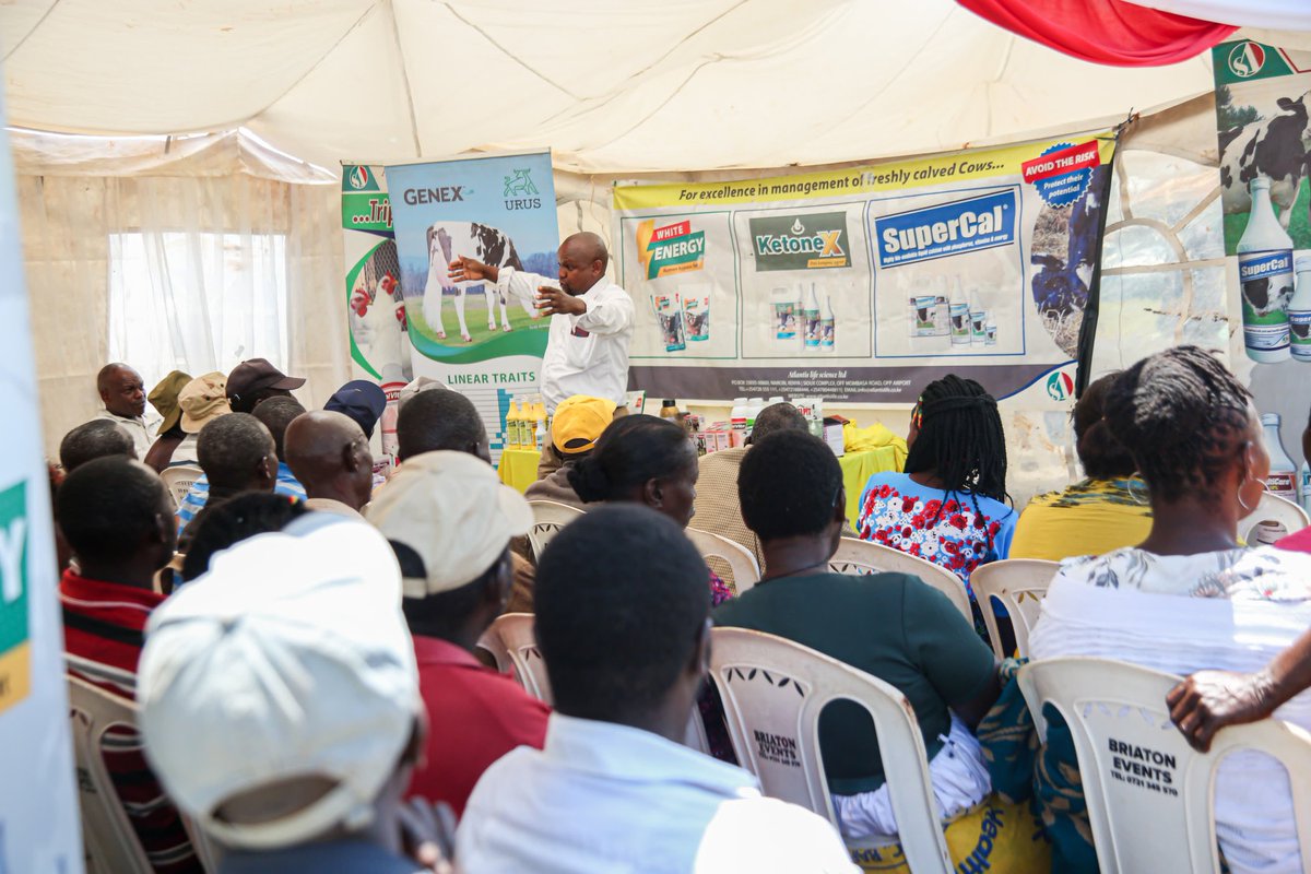 agrealafrica's tweet photo. A big shoutout to all the exhibitors who made the Ruiri Expo a success. Can't wait to see what new ideas and innovations will be showcased at the Embu expo. Let's continue to support and uplift each other in our entrepreneurial journeys. #Gratitude #Collaboration #AgriUnity https://t.co/HYm3MHIFHk