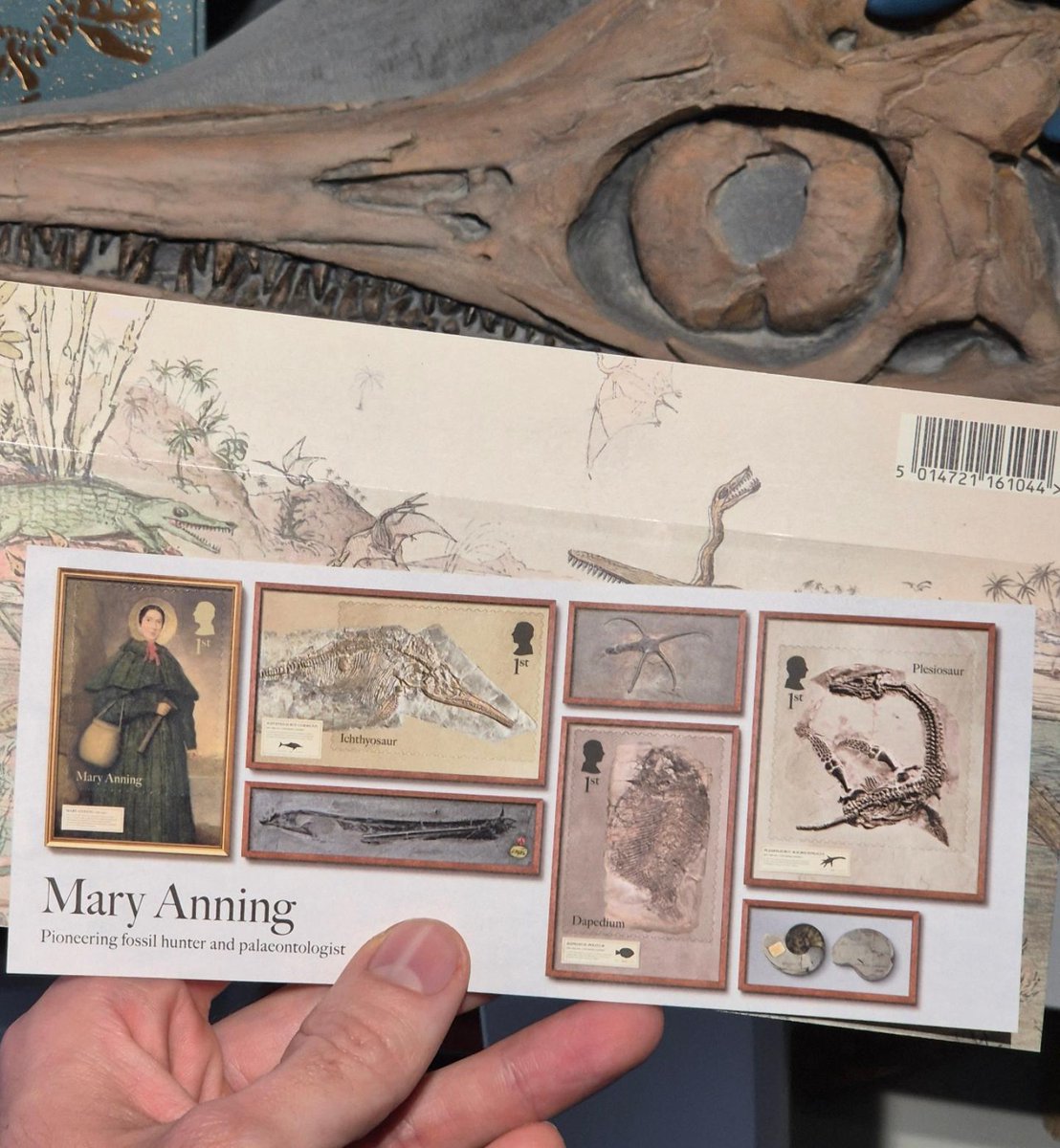 The Mary Anning stamp collection arrived. It looks fantastic! Wonderful to see several of her classic fossils covered. The ichthyosaur is not an I. communis, though. In fact, it's an Ichthyosaurus anningae that was actually *found* by Mary! So, Anning found and anningae. 1/2.