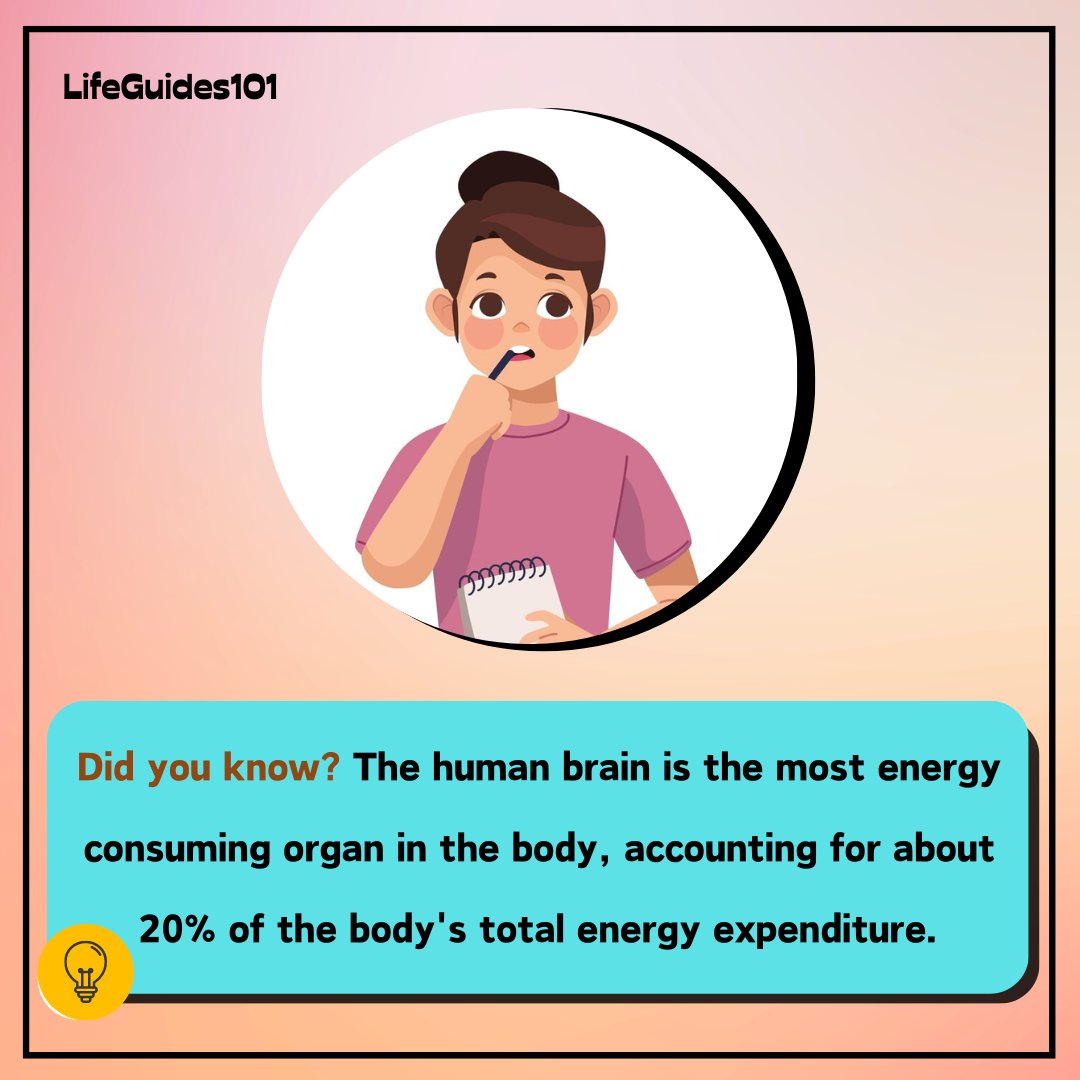 LifeGuides101's tweet photo. 🤔

#didyouknow #facts #human https://t.co/uxmG2Drbbv