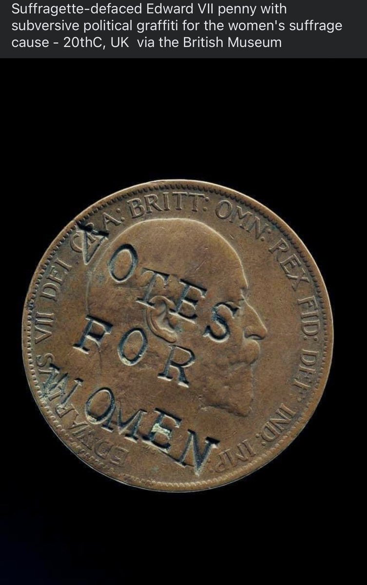 Penny Haven Plus, LLC (@havenplus) on Twitter photo 