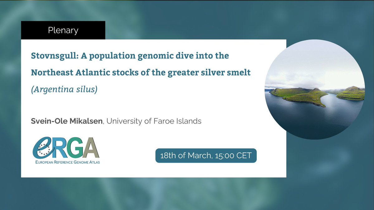 #ERGAPlenary | Join us next Monday to learn about the greater silver smelt, one of the #ERGAPilot species and the many question Svein-Ole Mikalsen and his research group hope to answer based on the species genome.

#ReferenceGenomes #Biodiversity @EBPgenome
