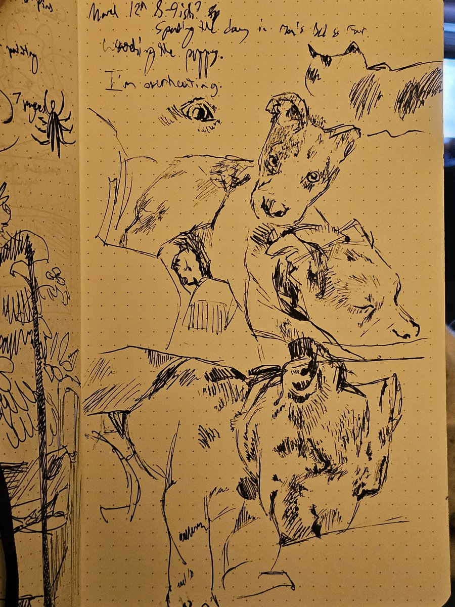 Traditional sketching. Had to watch the dog for a while.