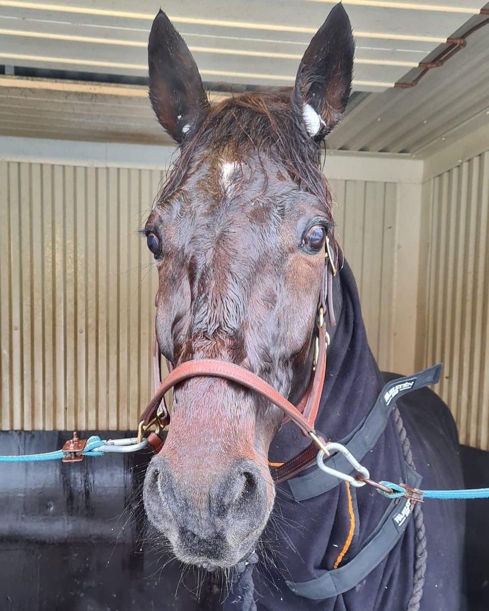 StallTinter tweet picture